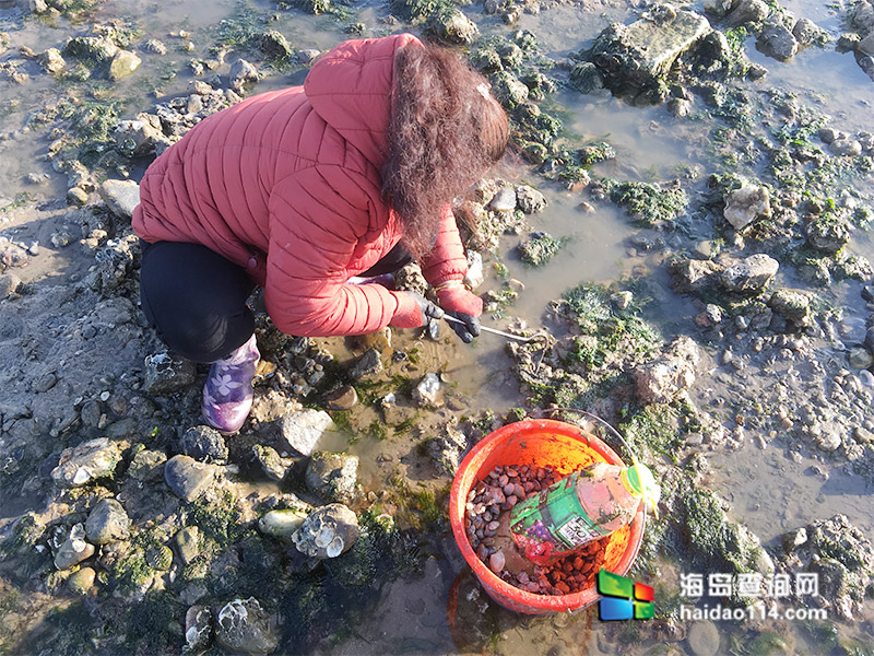 东戴河碧海听涛农家院