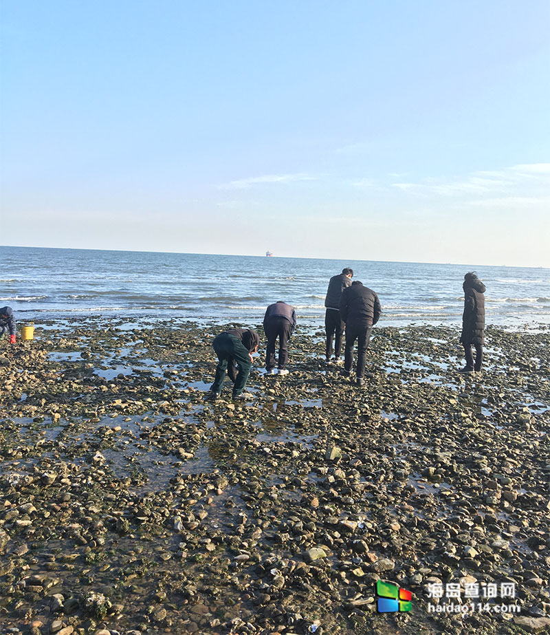 东戴河碧海听涛农家院