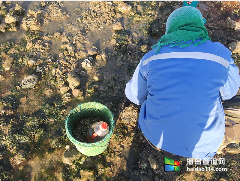 东戴河碧海听涛农家院