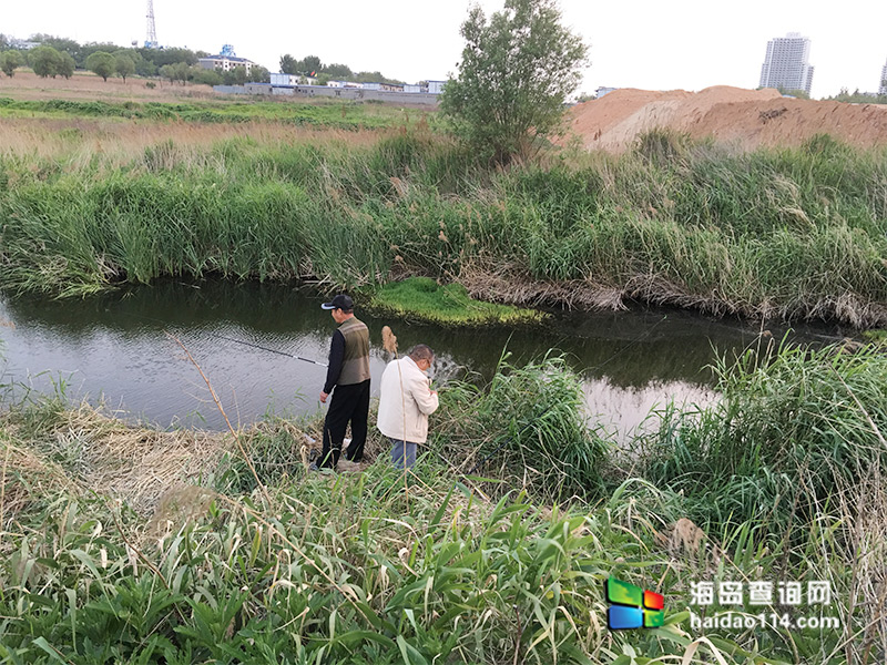 东戴河碧海听涛农家院