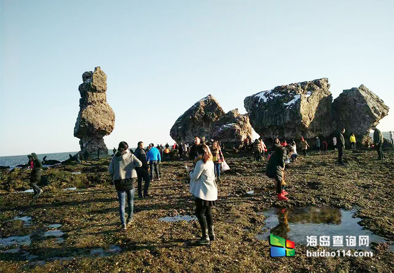 东戴河碧海听涛农家院