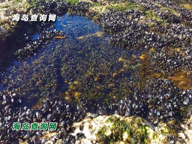 东戴河长辉农家院