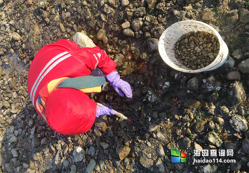 东戴河大阳农家院