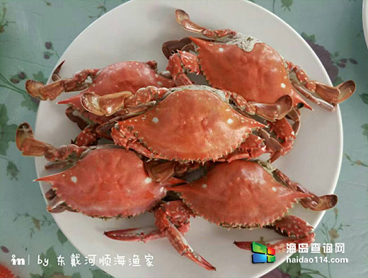 东戴河顺海渔家