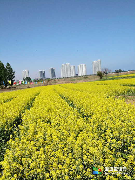 东戴河花屿海旅店