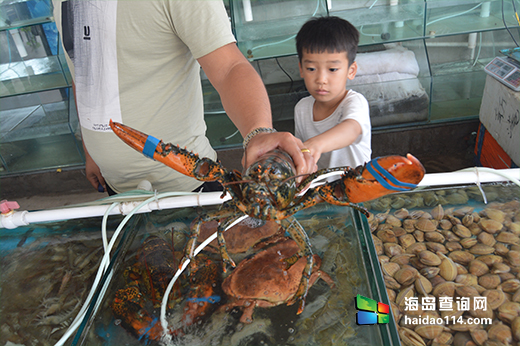 东戴河碣石湾特色木屋