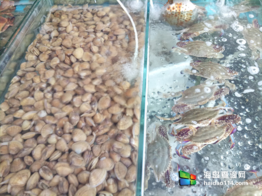 东戴河碣石湾特色木屋