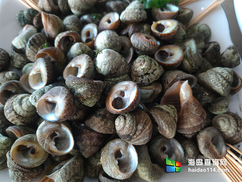 大长山岛海的季节民宿