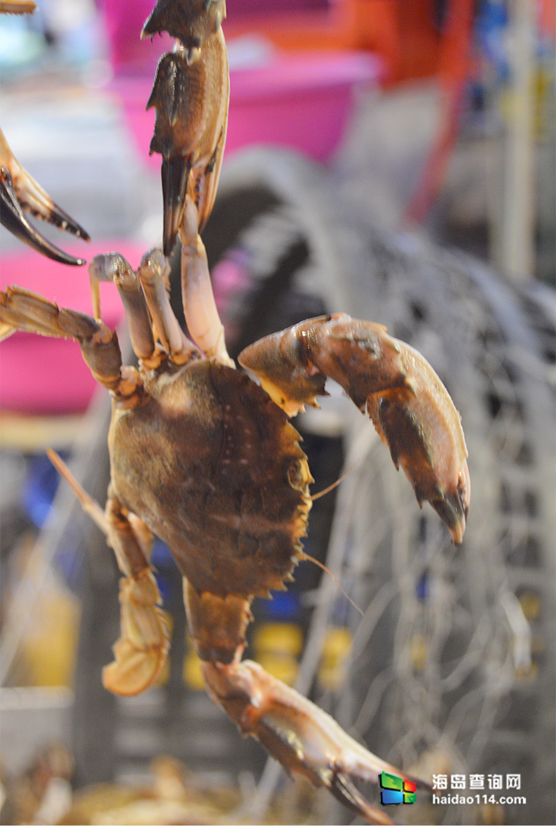 大长山岛海的季节民宿