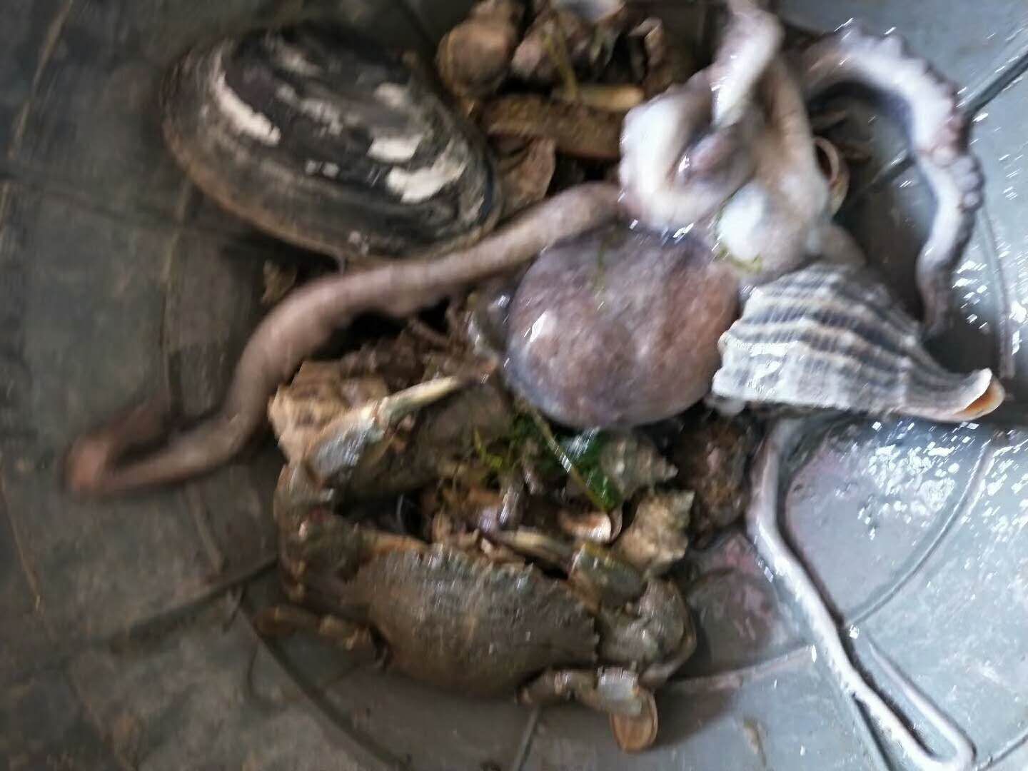 大长山岛海的季节民宿