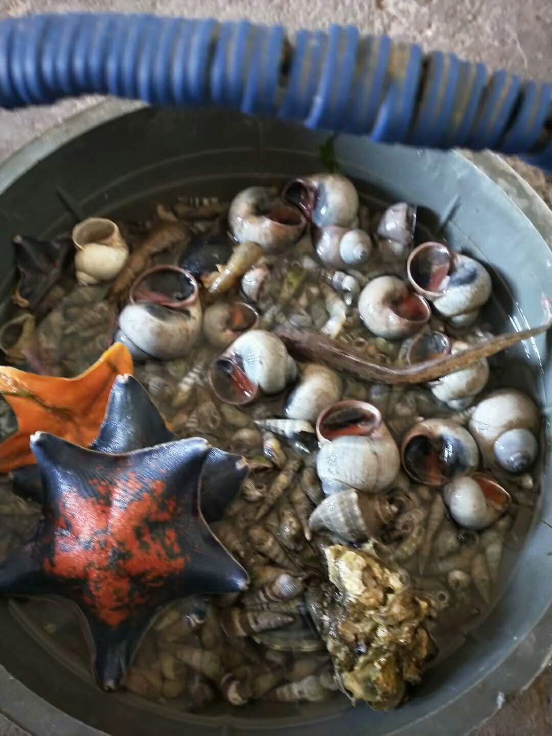 大长山岛海的季节民宿