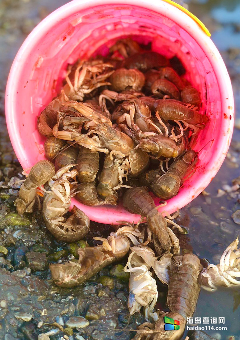 大长山岛海的季节民宿