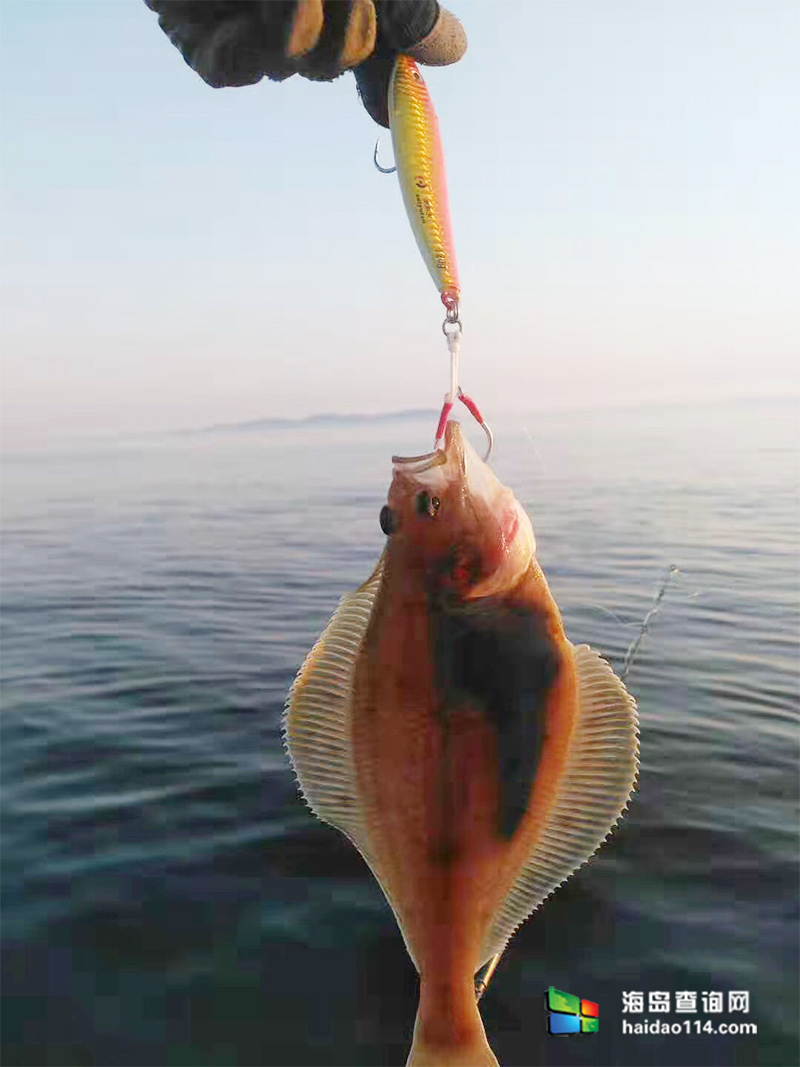 大长山岛海的季节民宿