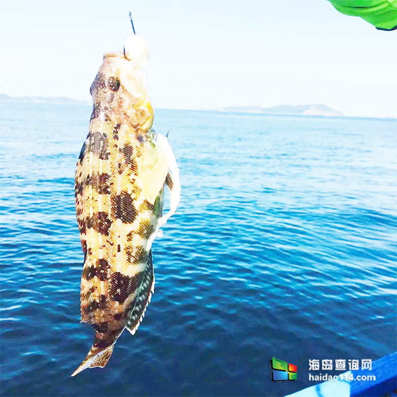 大长山岛海的季节民宿