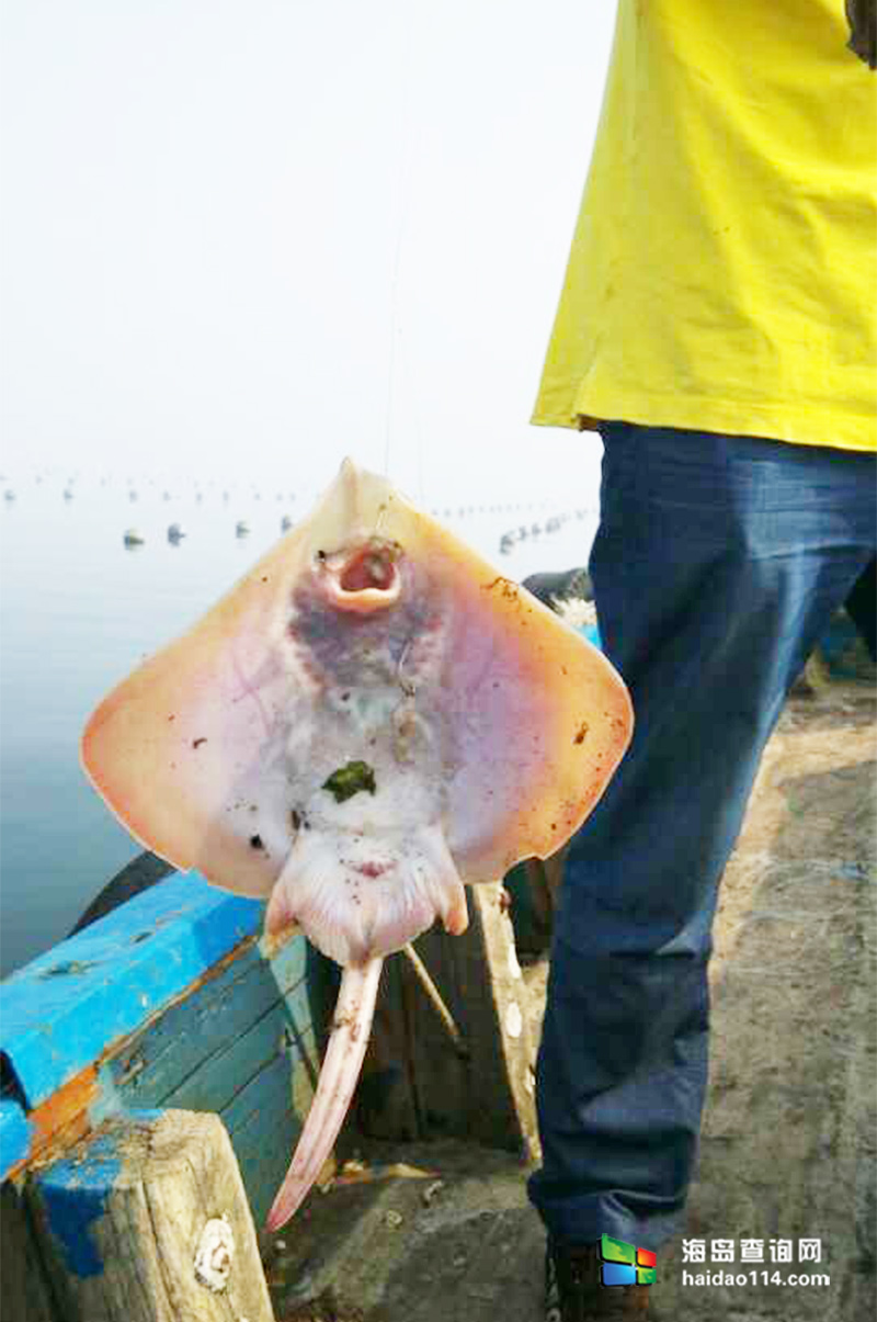 大长山岛海的季节民宿