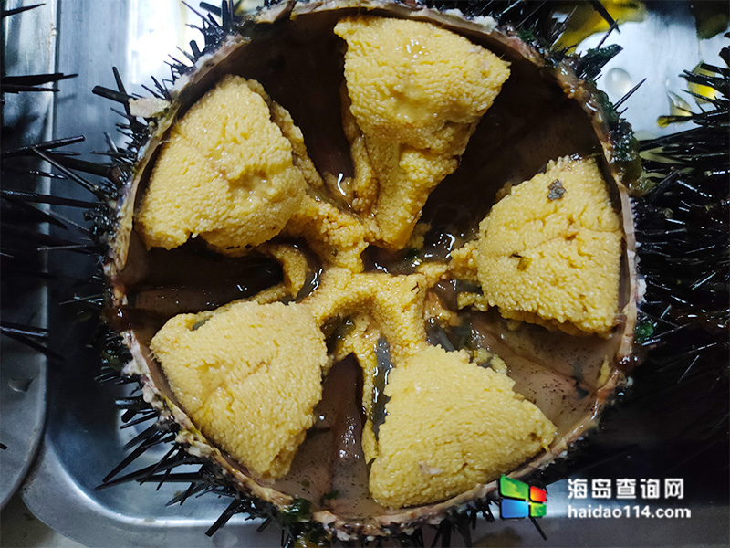 大长山岛海的季节民宿