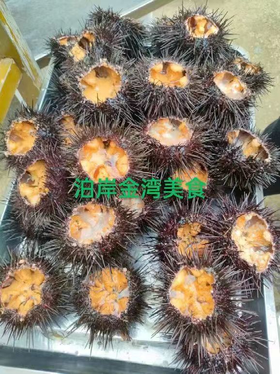 大长山岛泊岸金湾度假酒店