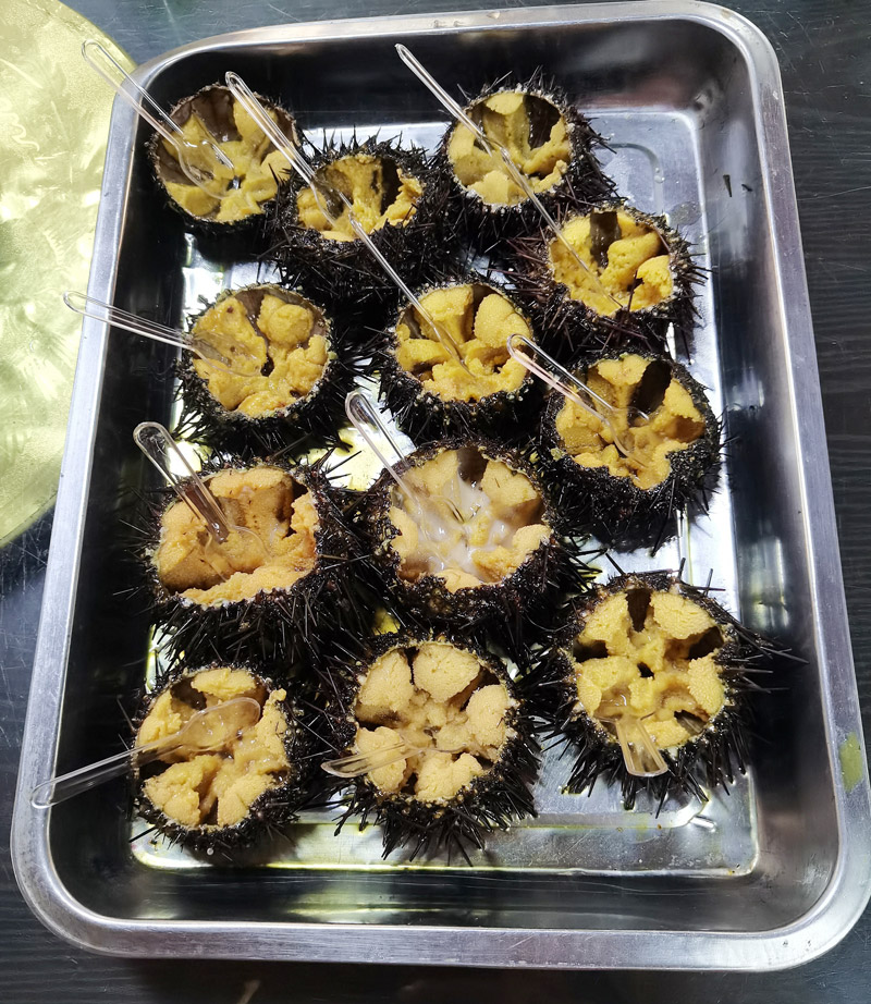 大长山岛滨隆海度假村