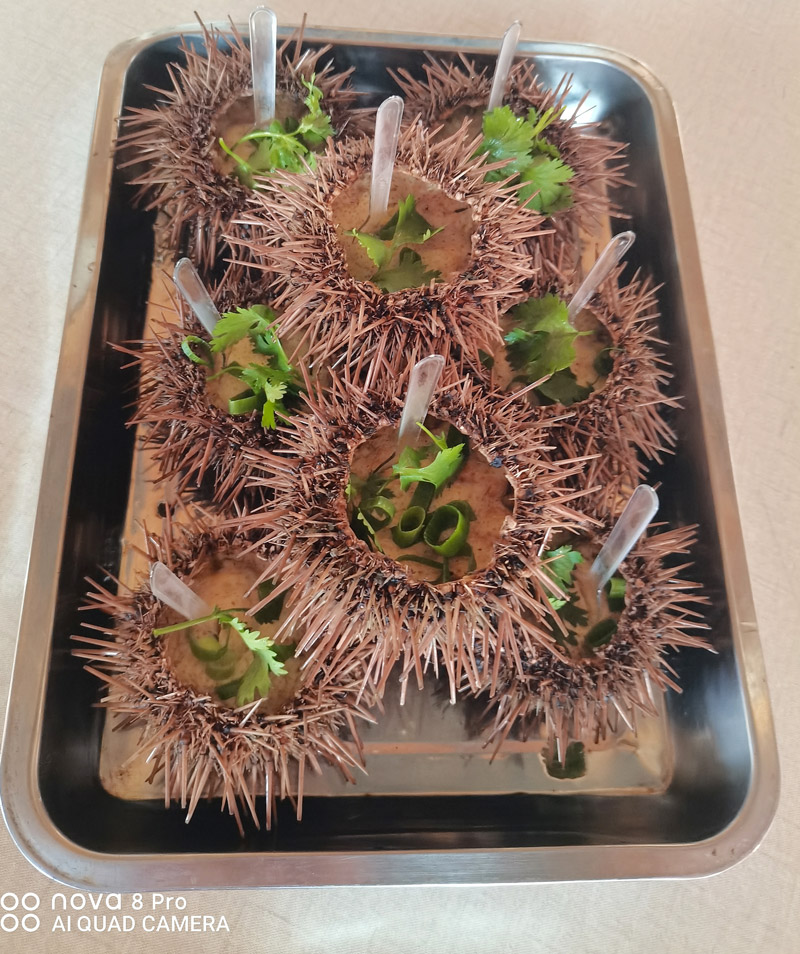 大长山岛滨隆海度假村