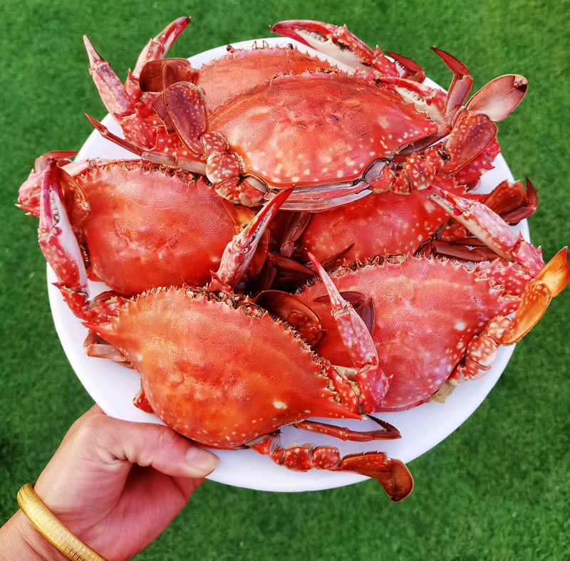 大长山岛滨隆海度假村