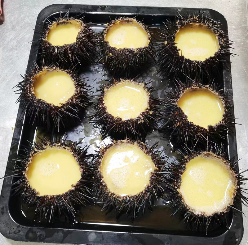 大长山岛滨隆海度假村