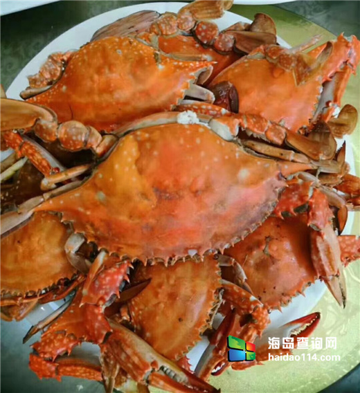 大长山岛鑫德宝渔家客栈