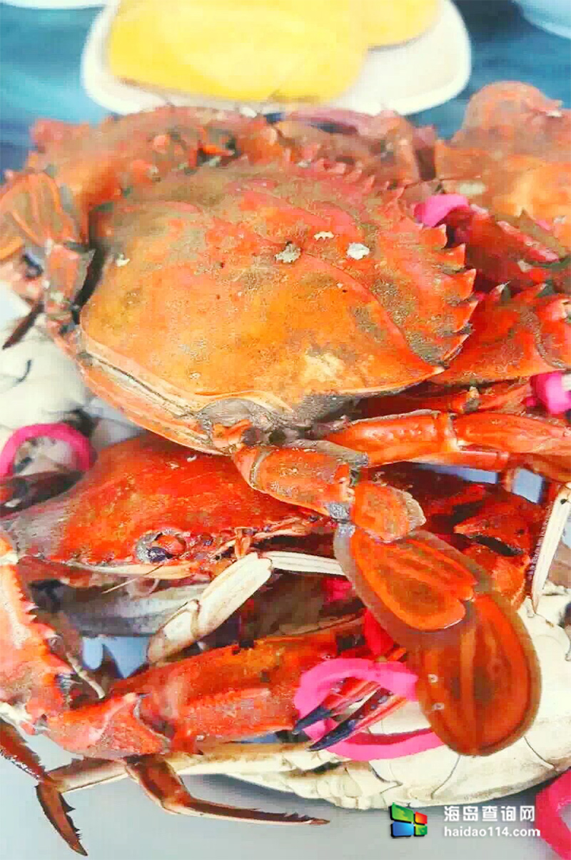 大长山岛鑫德宝渔家客栈