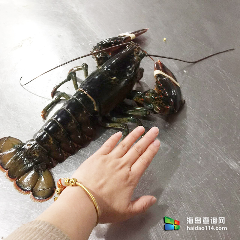 大长山岛鑫德宝渔家客栈