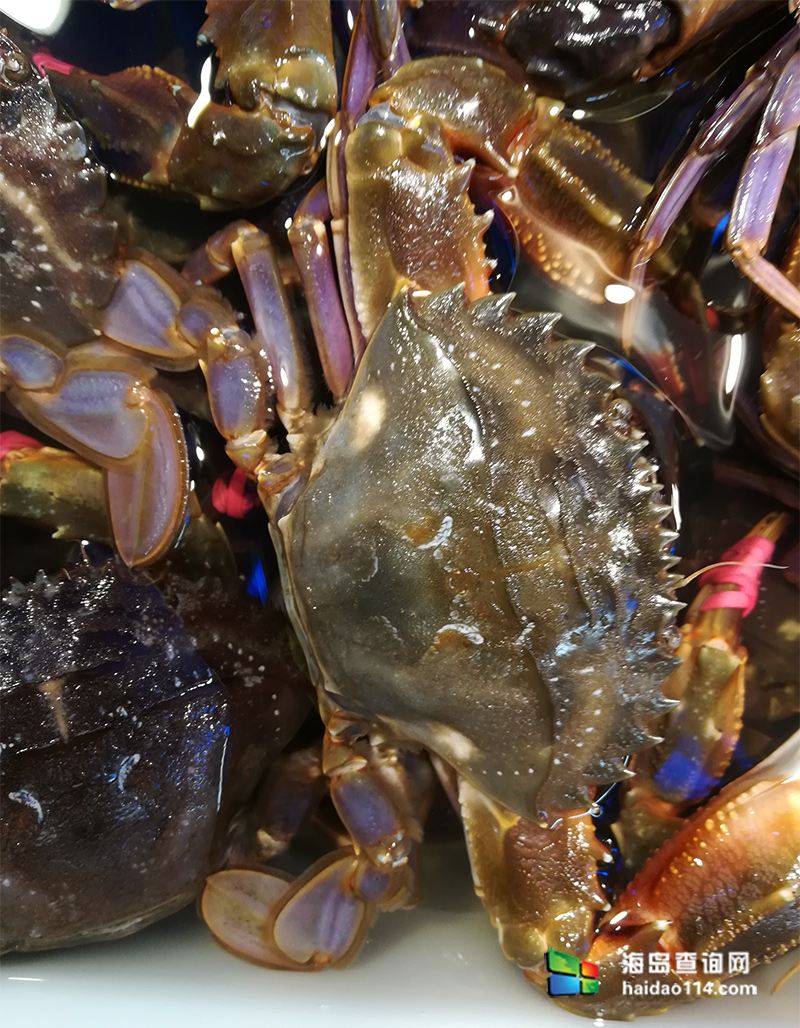 大长山岛鑫德宝渔家客栈