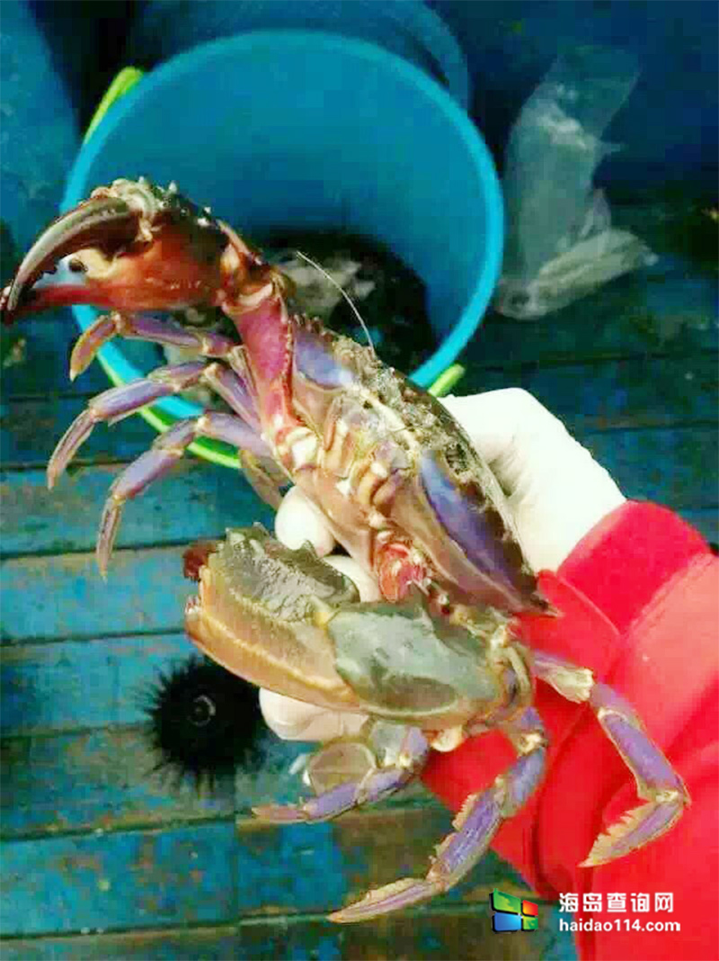 大长山岛鑫德宝渔家客栈