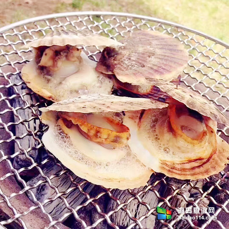 大长山岛鑫德宝渔家客栈