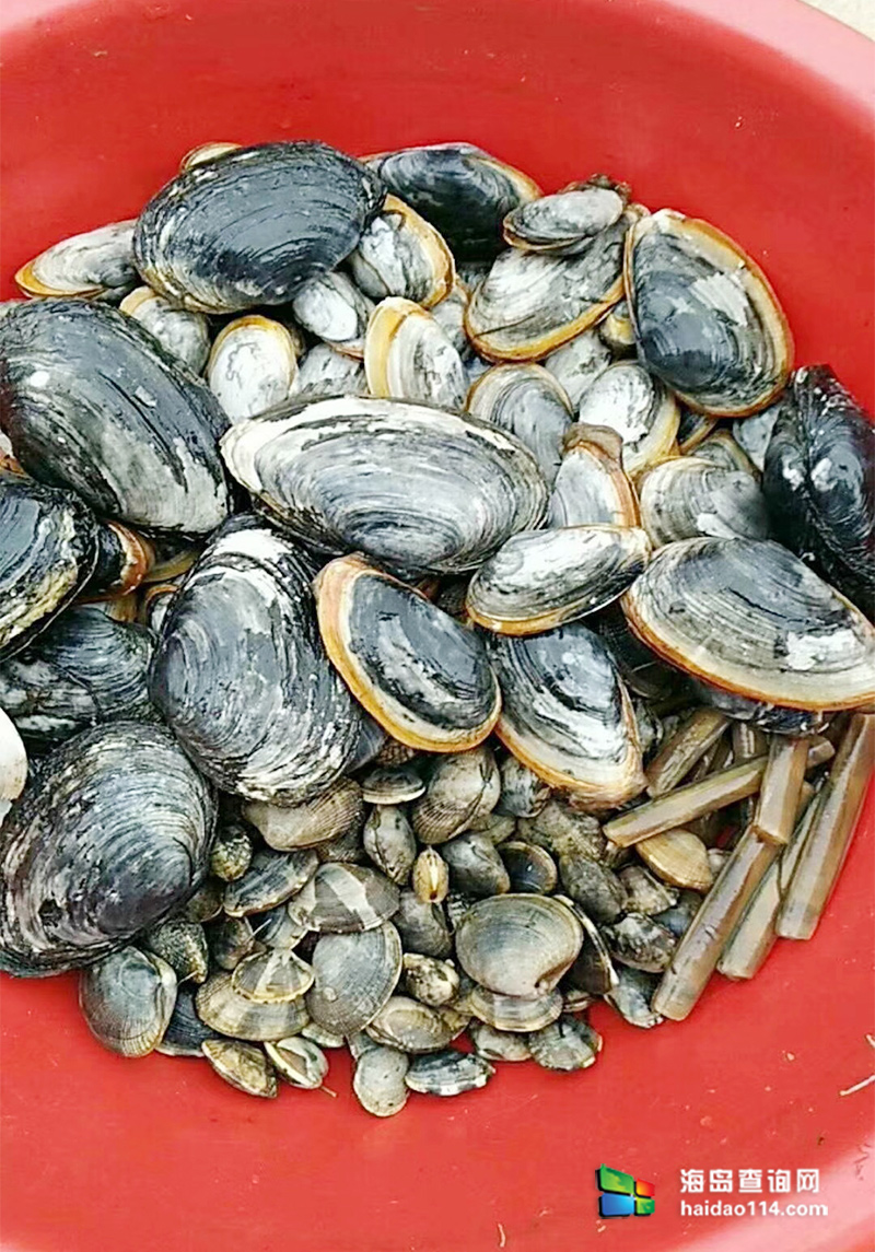 大长山岛鑫德宝渔家客栈