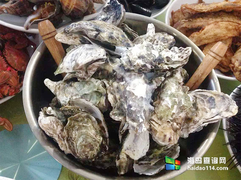 大长山岛鑫德宝渔家客栈