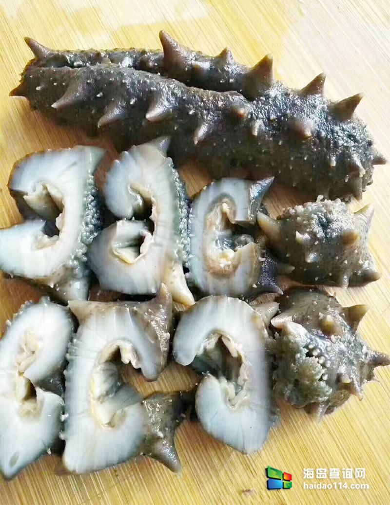 大长山岛鑫德宝渔家客栈