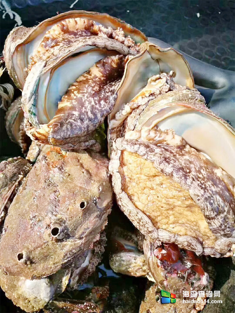 大长山岛鑫德宝渔家客栈