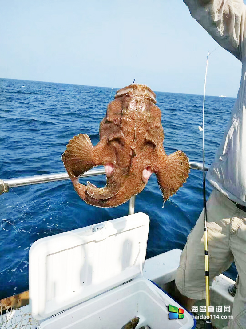 大长山岛鑫德宝渔家客栈