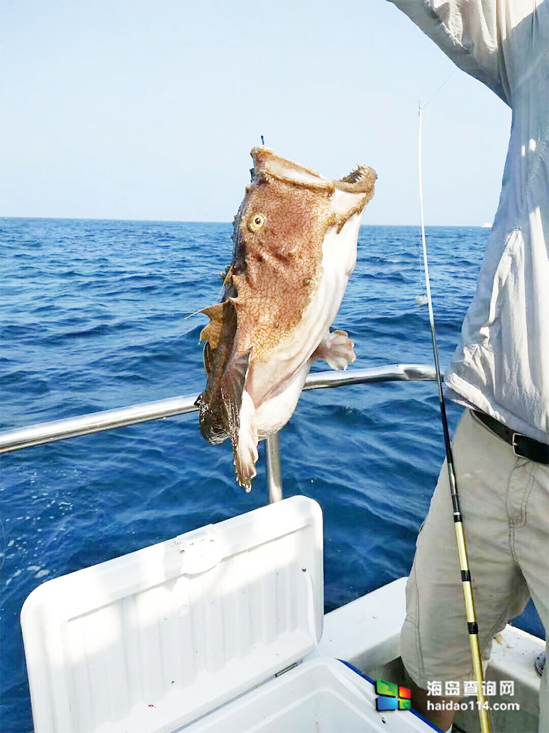 大长山岛鑫德宝渔家客栈