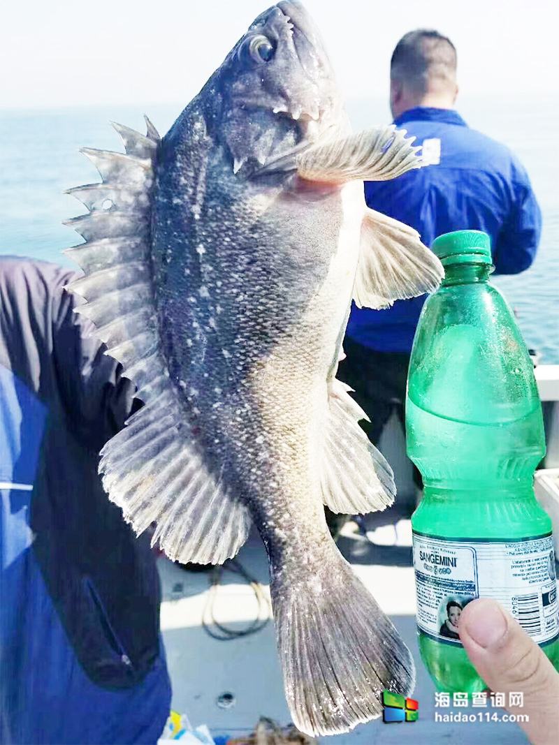 大长山岛鑫德宝渔家客栈