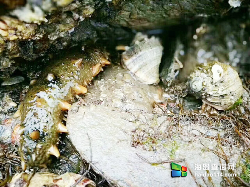 大长山岛鑫德宝渔家客栈