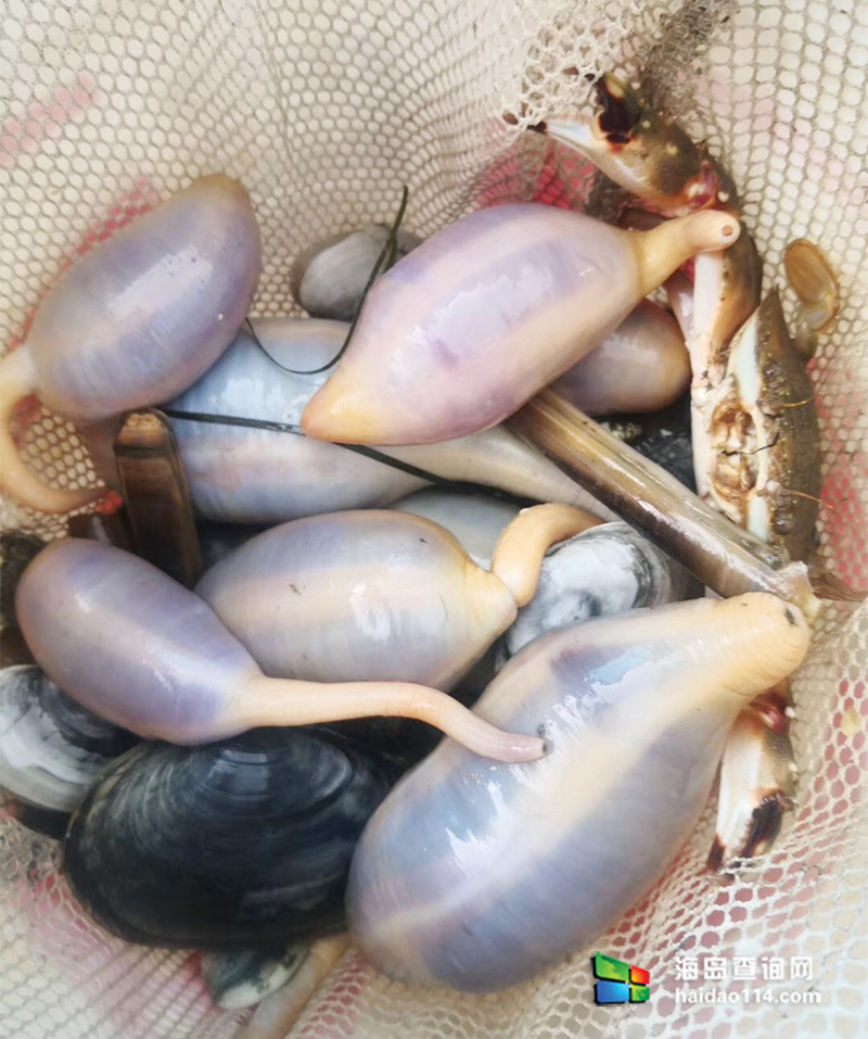 大长山岛鑫德宝渔家客栈