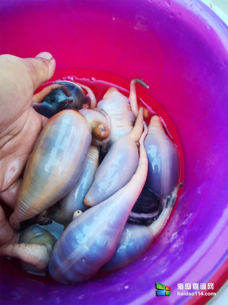 大长山岛鑫德宝渔家客栈