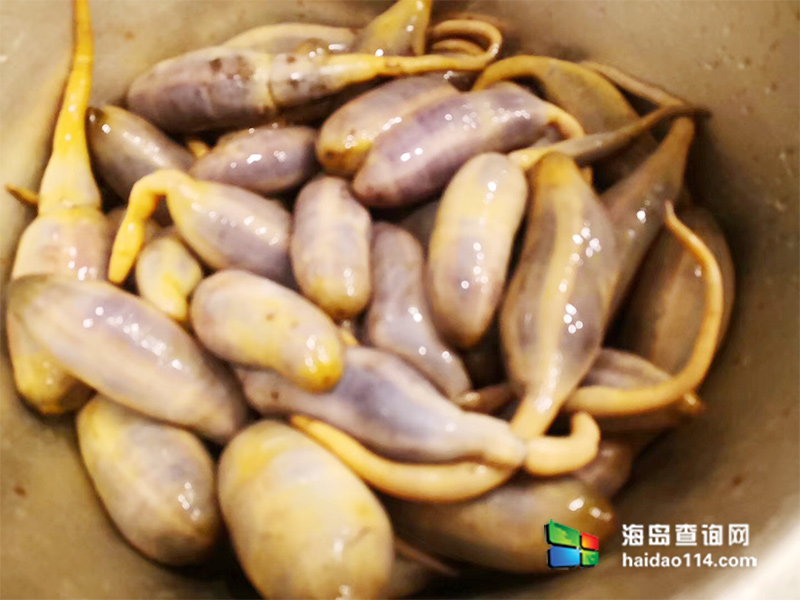 大长山岛鑫德宝渔家客栈