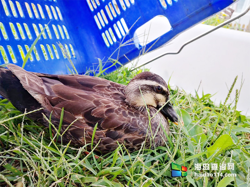 大长山岛鑫德宝渔家客栈