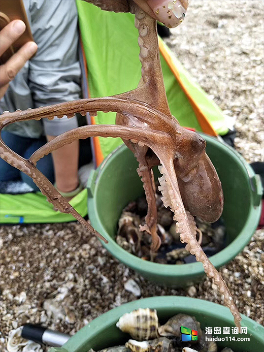 大长山岛鑫德宝渔家客栈