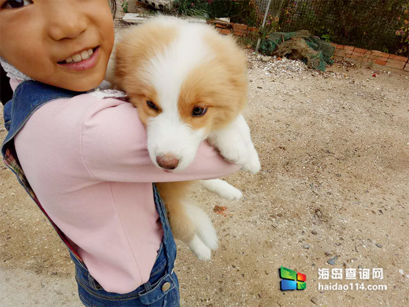 大长山岛鑫德宝渔家客栈