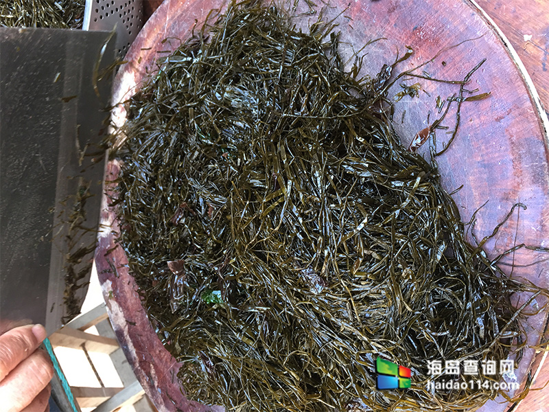 大长山岛鑫德宝渔家客栈