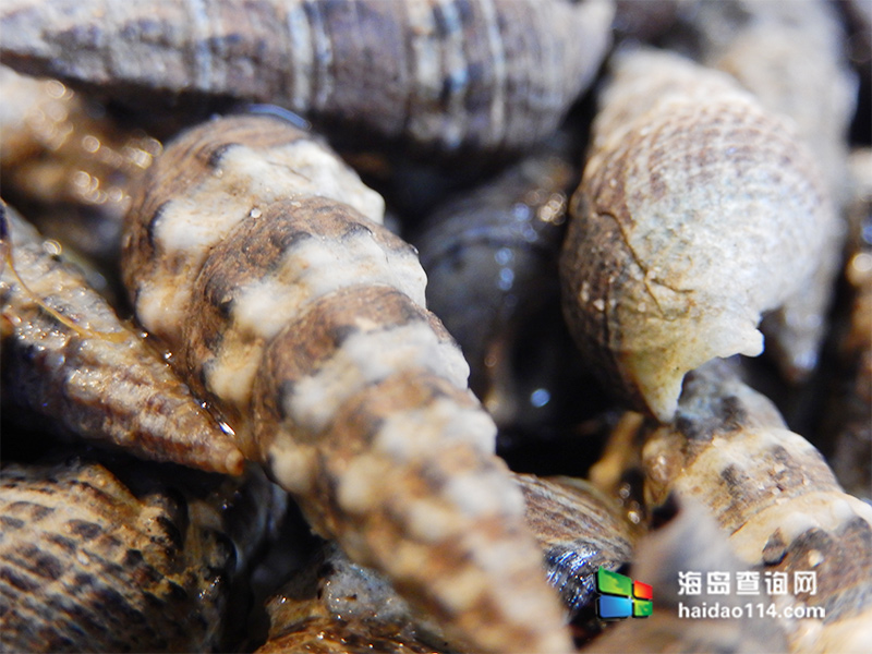 大长山岛鑫德宝渔家客栈