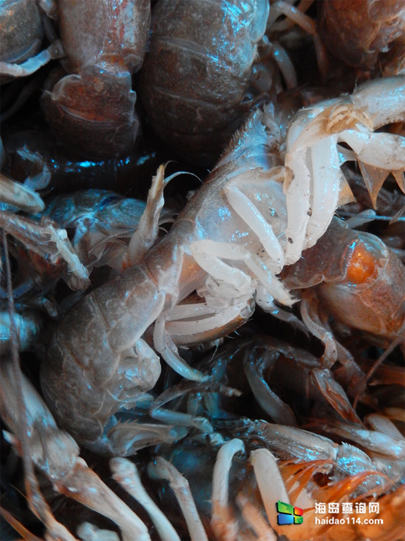 大长山岛鑫德宝渔家客栈