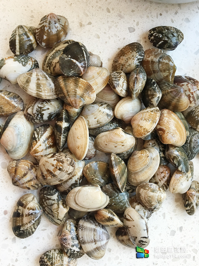 大长山岛鑫德宝渔家客栈