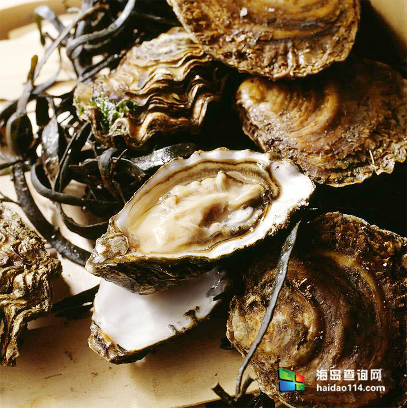 大长山岛鑫德宝渔家客栈